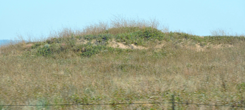 The Great Plains RegionThe Western High Plains Ecoregion