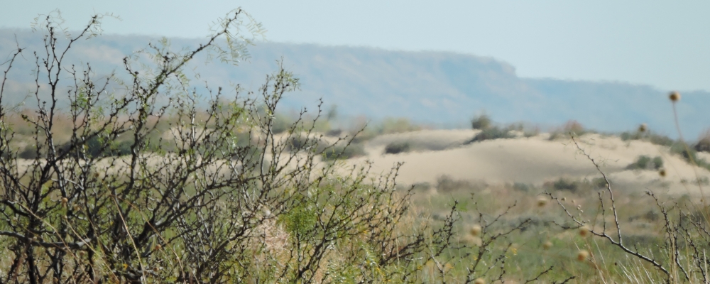 The Great Plains RegionThe Western High Plains Ecoregion