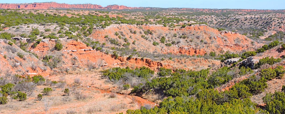 The Great PlainsTexas High Plains