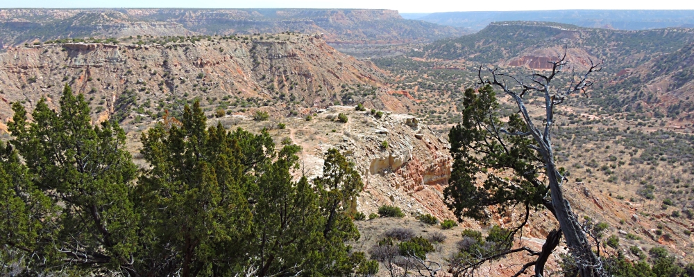 The Great PlainsTexas High Plains