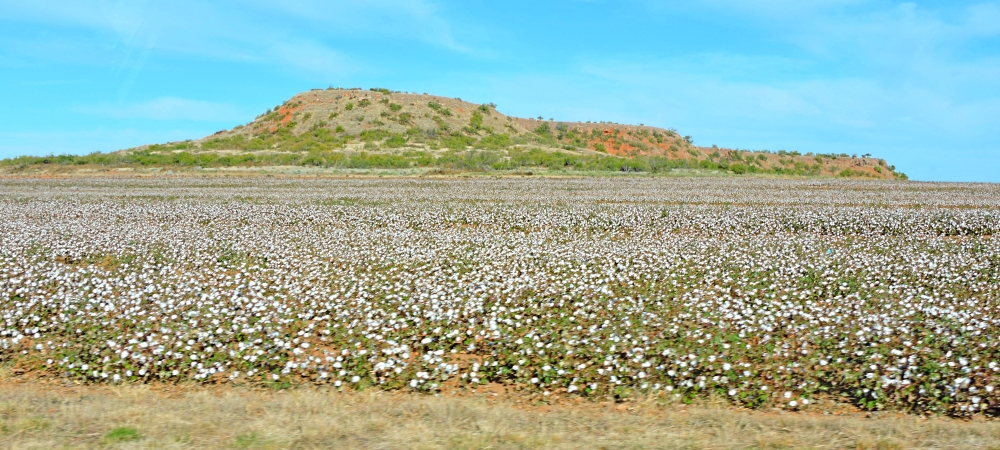 The Great PlainsThe High Plains
