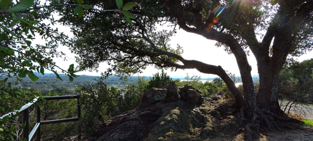 The Great PlainsThe Edwards Plateau