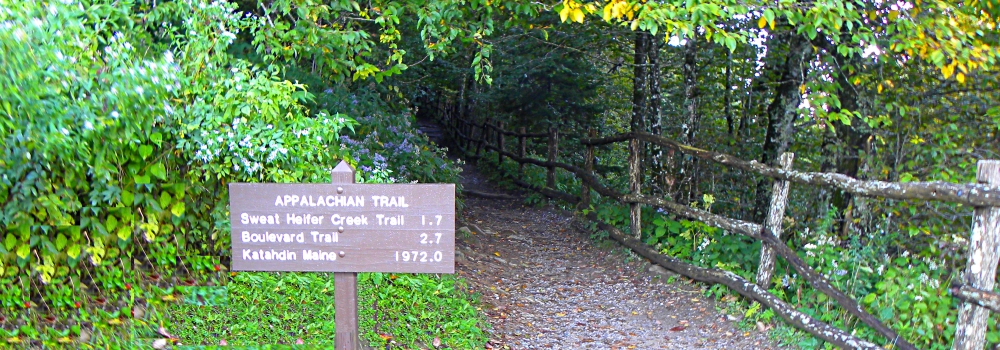 The Appalachian Mountains RegionThe Smoky Mountains