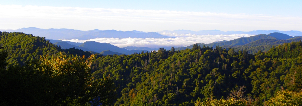 The Appalachian Mountains RegionThe Smoky Mountains