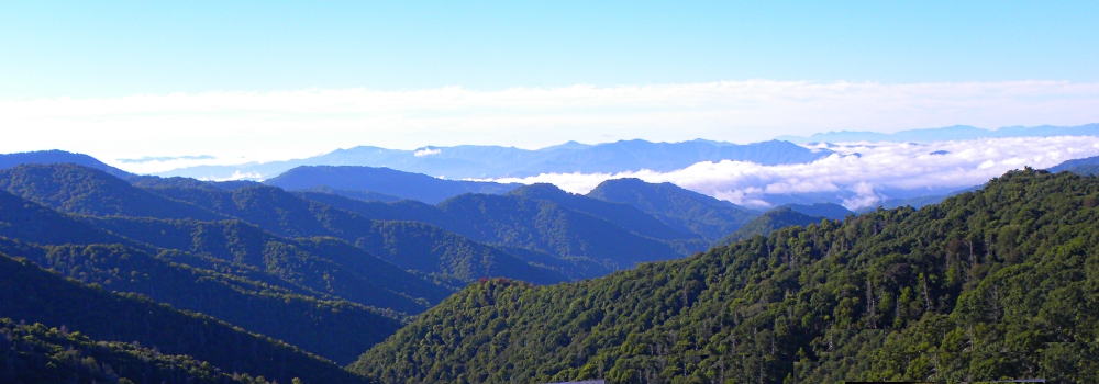 The Appalachian Mountains RegionThe Smoky Mountains