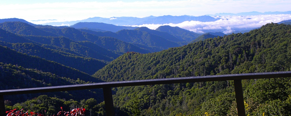 The Appalachian Mountains RegionThe Smoky Mountains