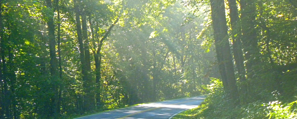 The Appalachian Mountains RegionThe Smoky Mountains