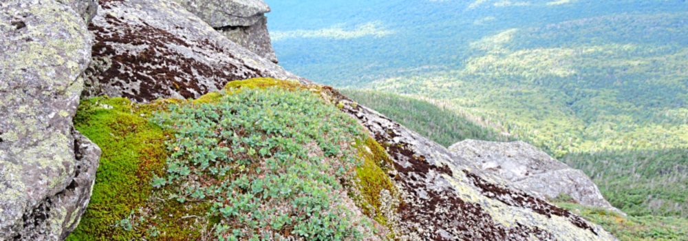 The Adirondack MountainsWhiteface Mountain