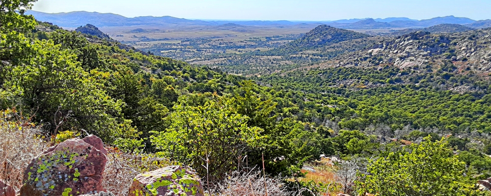 The Interior Highlands RegionOklahoma: Wichita Mountains Ecoregion
