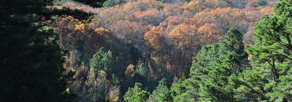 The Interior Highlands RegionsOklahoma: The Talimena Scenic Byway border=