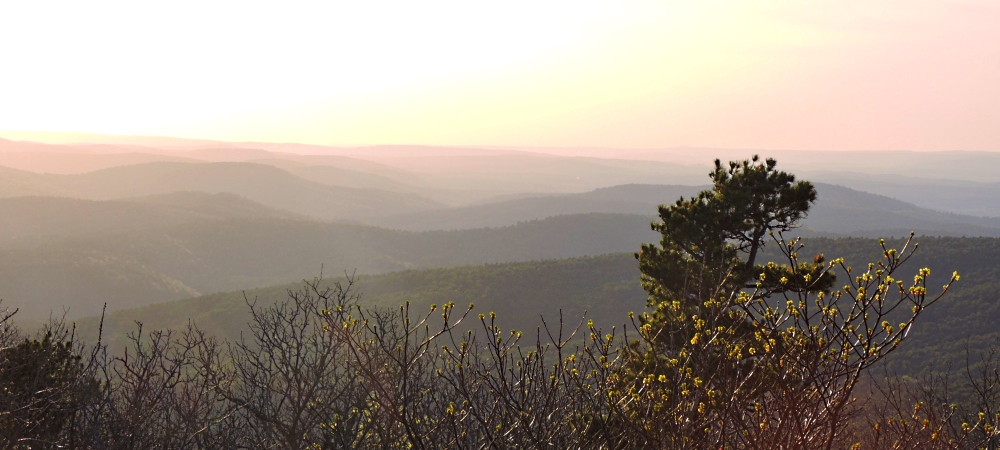 The Interior Highlands RegionsOklahoma: The Talimena Scenic Byway border=