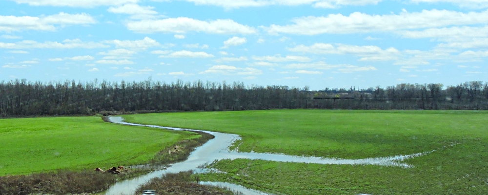The Coastal Plains RegionThe Mississippi Alluvial Plains Ecoregion