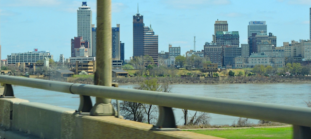 The Coastal Plains RegionThe Mississippi Alluvial Plains Ecoregion
