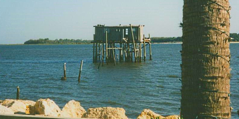 The Coastal Plains RegionThe Southern Plains Ecoregion