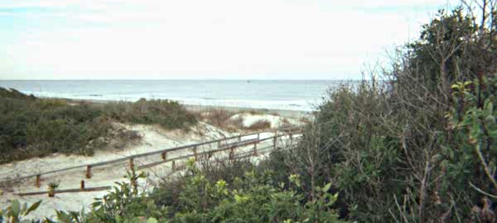 The Coastal Plains RegionThe Southern Plains Ecoregion