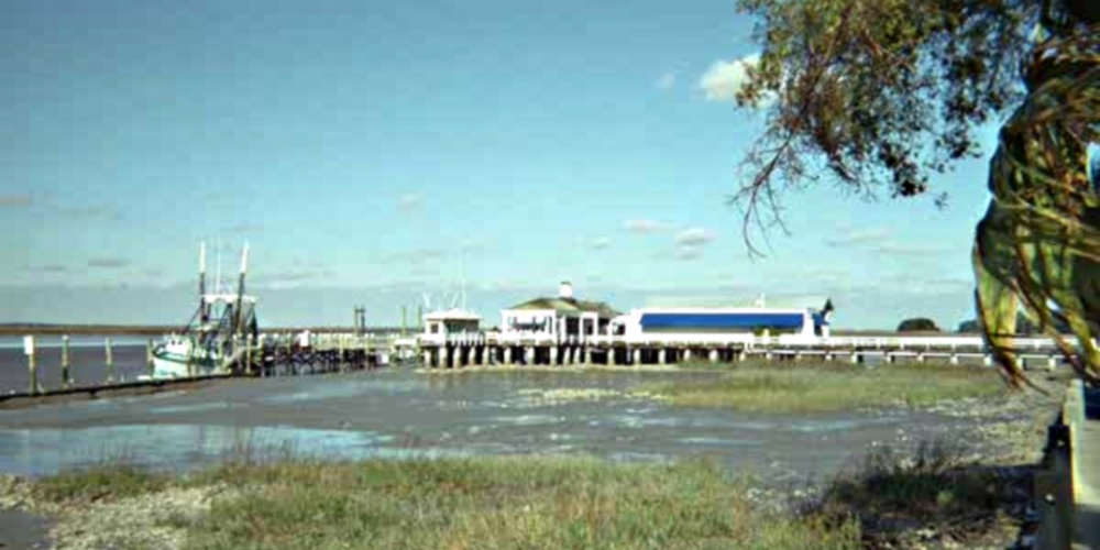 The Coastal Plains RegionThe Southern Plains Ecoregion