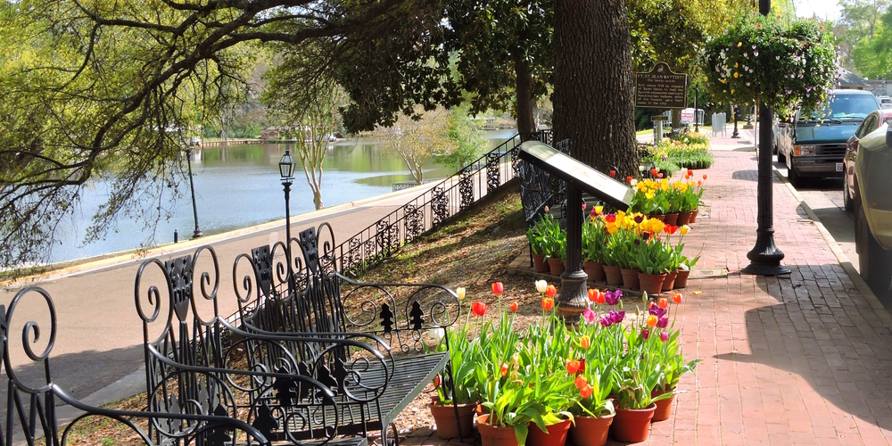The Coastal Plains RegionLouisiana: South Pine Belt Plains EcoregionEl Camino Real de Los Tejas