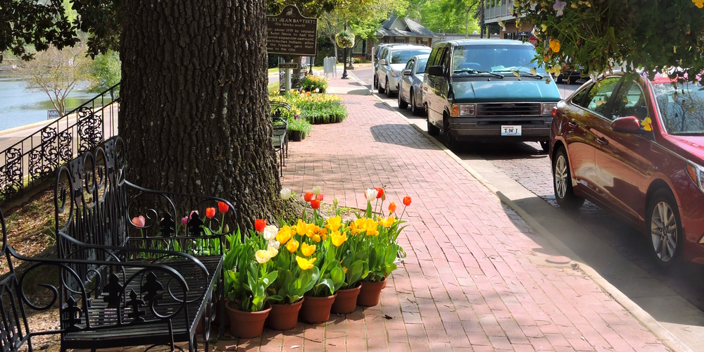 The Coastal Plains RegionLouisiana: South Pine Belt Plains EcoregionEl Camino Real de Los Tejas