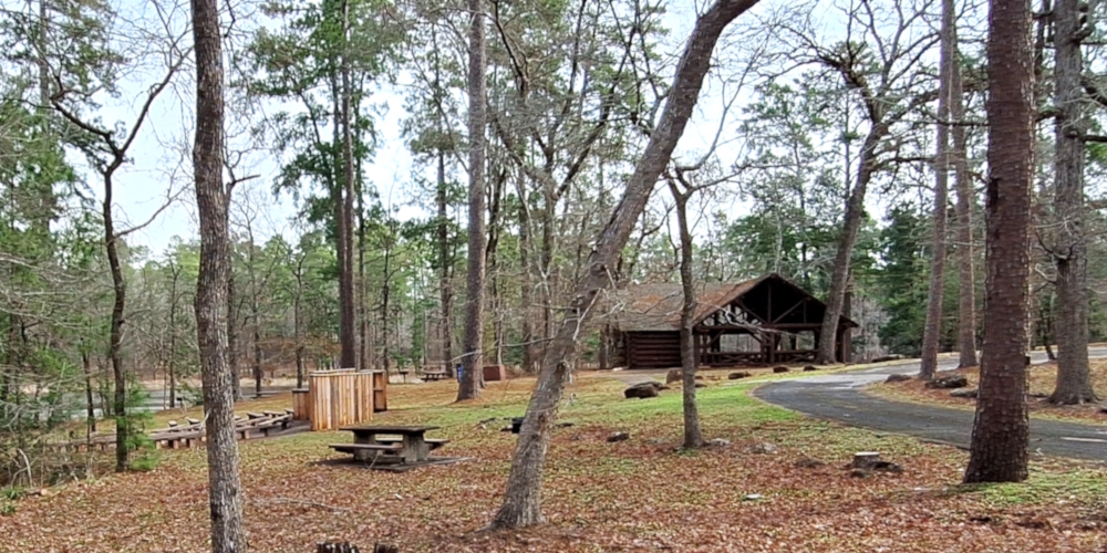 The Coastal Plains RegionThe Piney Woods Ecoregion