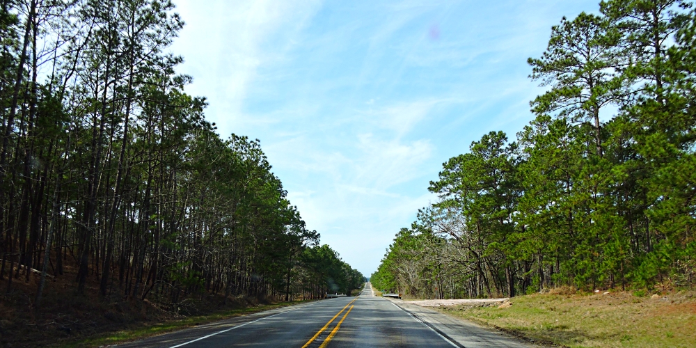 The Coastal Plains RegionThe Piney Woods Ecoregion