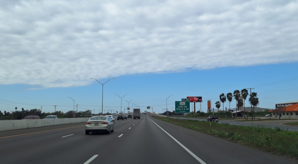The Coastal Plains RegionThe Western Gulf Coastal Plains Ecoregion
