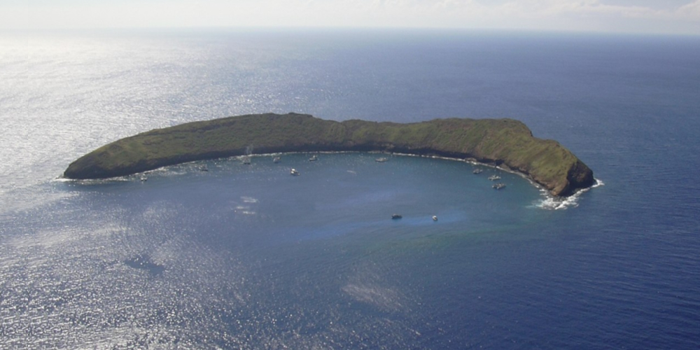 The Island Lands RegionsThe North Pacific Islands Ecoregion