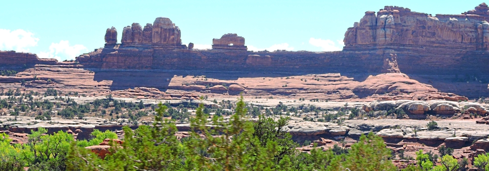The CanyonlandsNeedles District