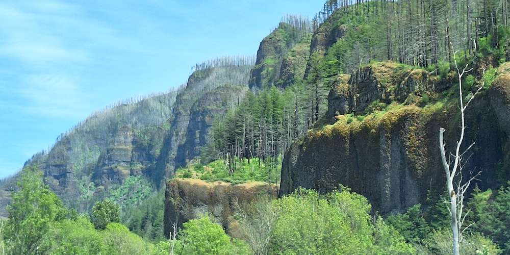 View of Mount Hoodat the Columbia River Gorge