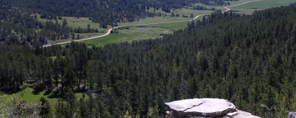 Jewel CaveForest Near By