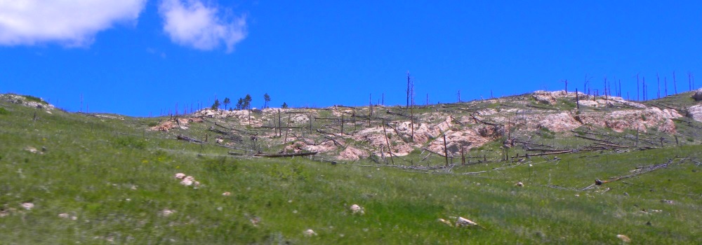 Jewel CaveThe Land Above