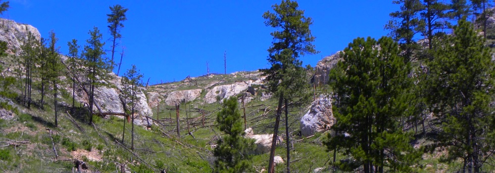 Jewel CaveThe Land Above