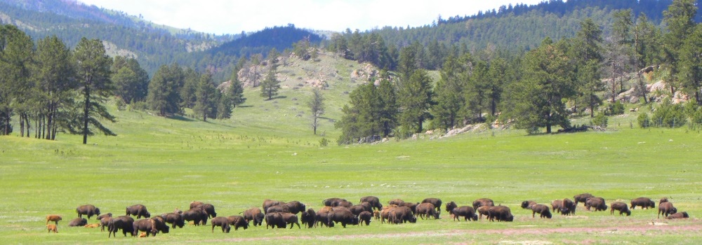 The Wind CaveOriginal Entrance