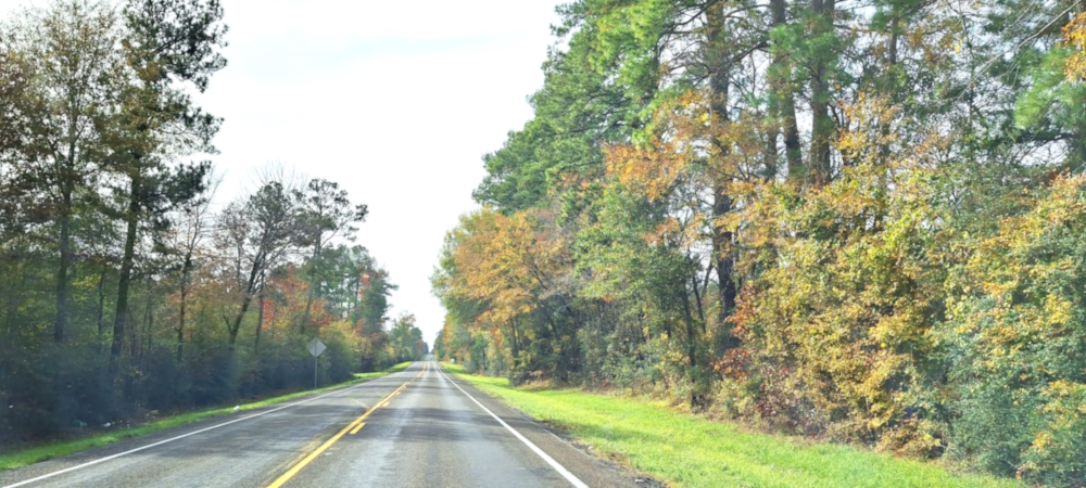 Davy Crocket National ForestTexas State Highway 94