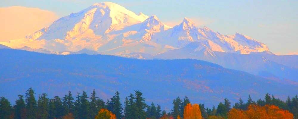 The Volcanoes Gallery