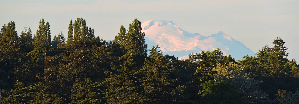 The Mount Baker VolcanoFrom City Beach