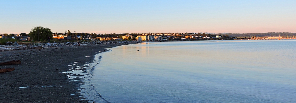 The Mount Baker VolcanoFrom City Beach
