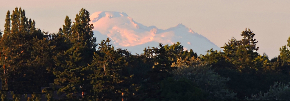 The Mount Baker VolcanoFrom City Beach