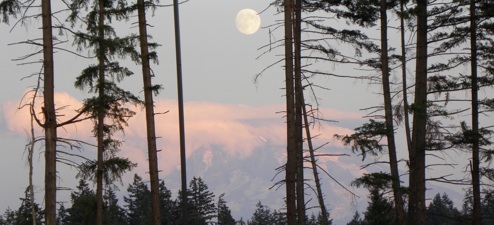 The VolcanoesMount Rainier Volcano