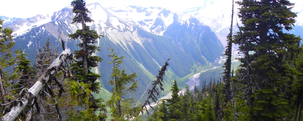 The VolcanoesMount Rainier Volcano