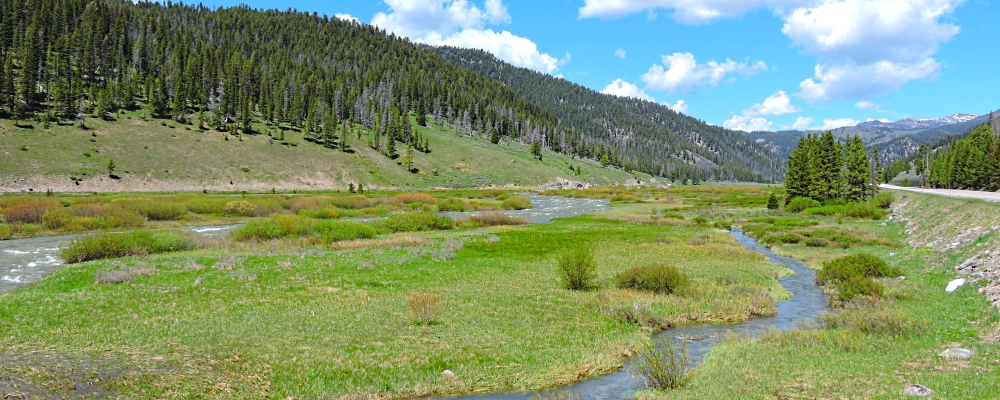 The Gallatin RiverImage