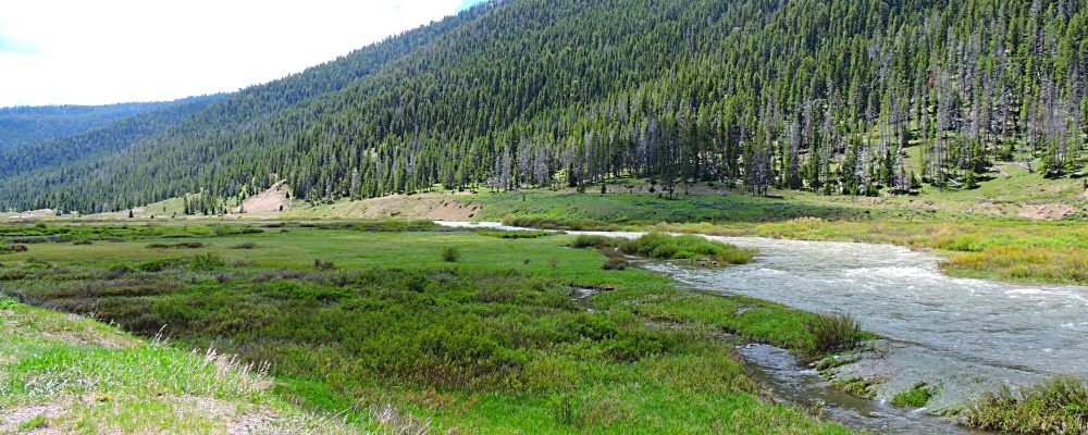 The Gallatin RiverImage