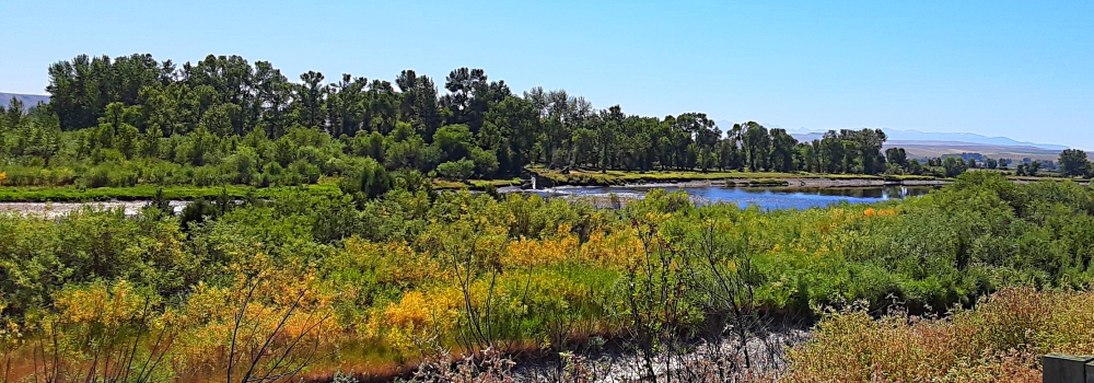 The Jefferson RiverImage