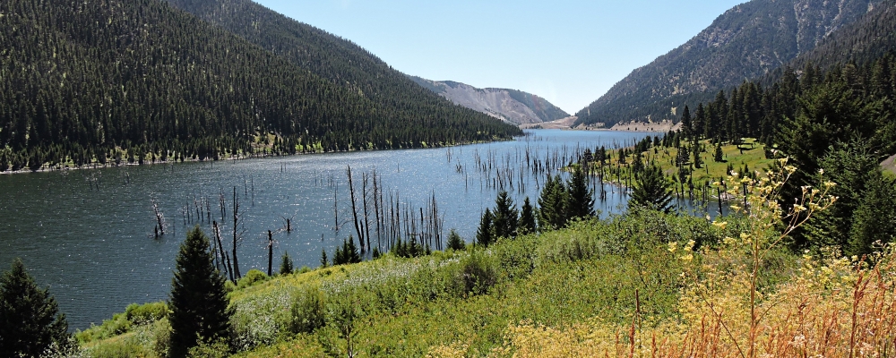 The Madison RiverImage