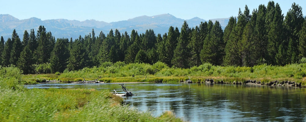 The Madison RiverImage