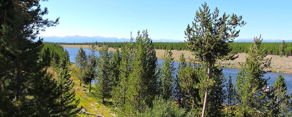 The Madison RiverImage