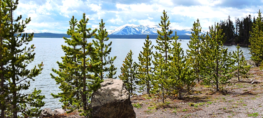 The Yellowstone RiverImage