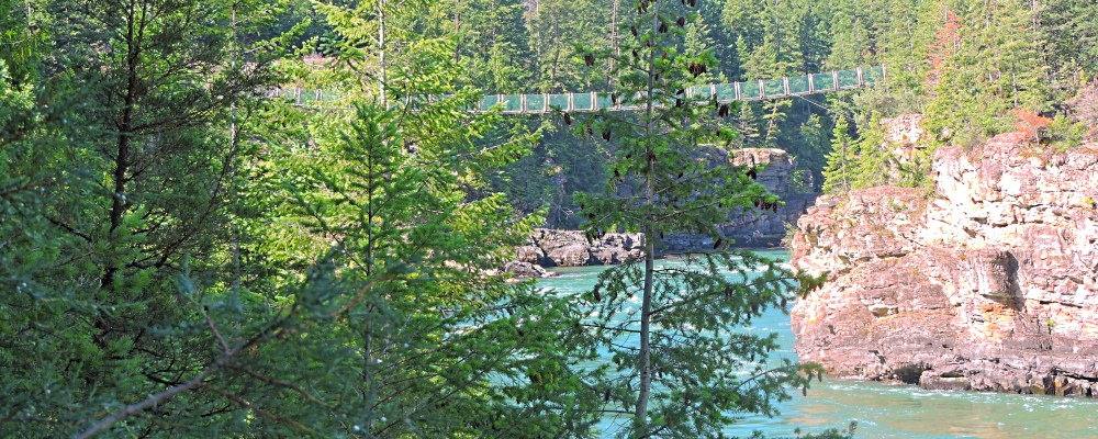 Kootenai FallsSwinging Bridge