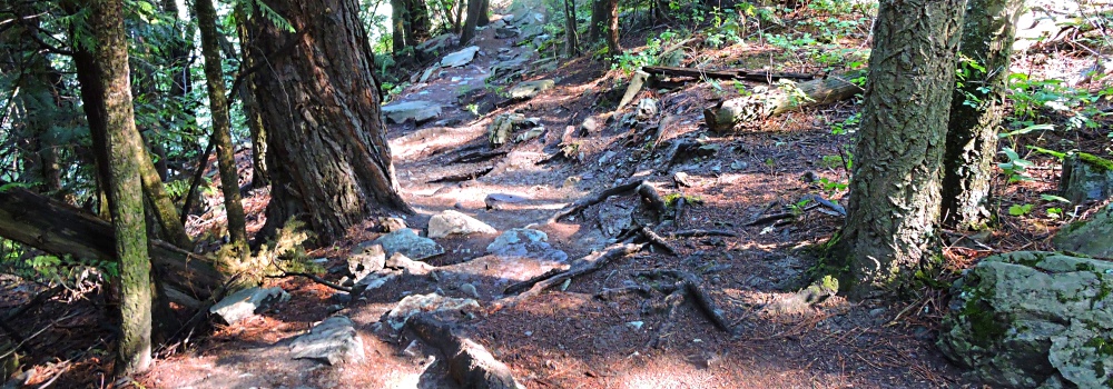 Kootenai FallsSwinging Bridge