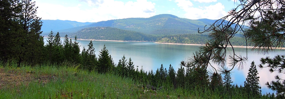 Kootenai LakeEnshrouded by Forest