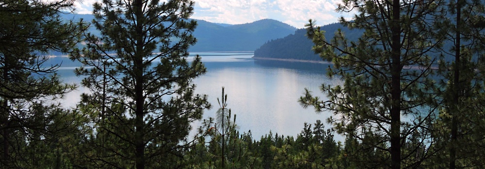 Kootenai LakeEnshrouded by Forest